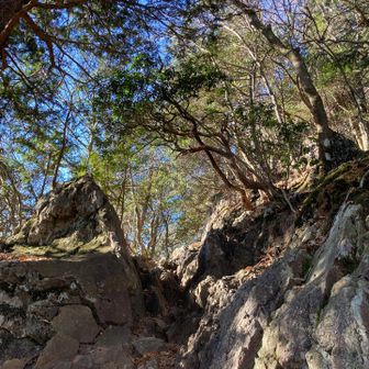 岩場が増えてきます