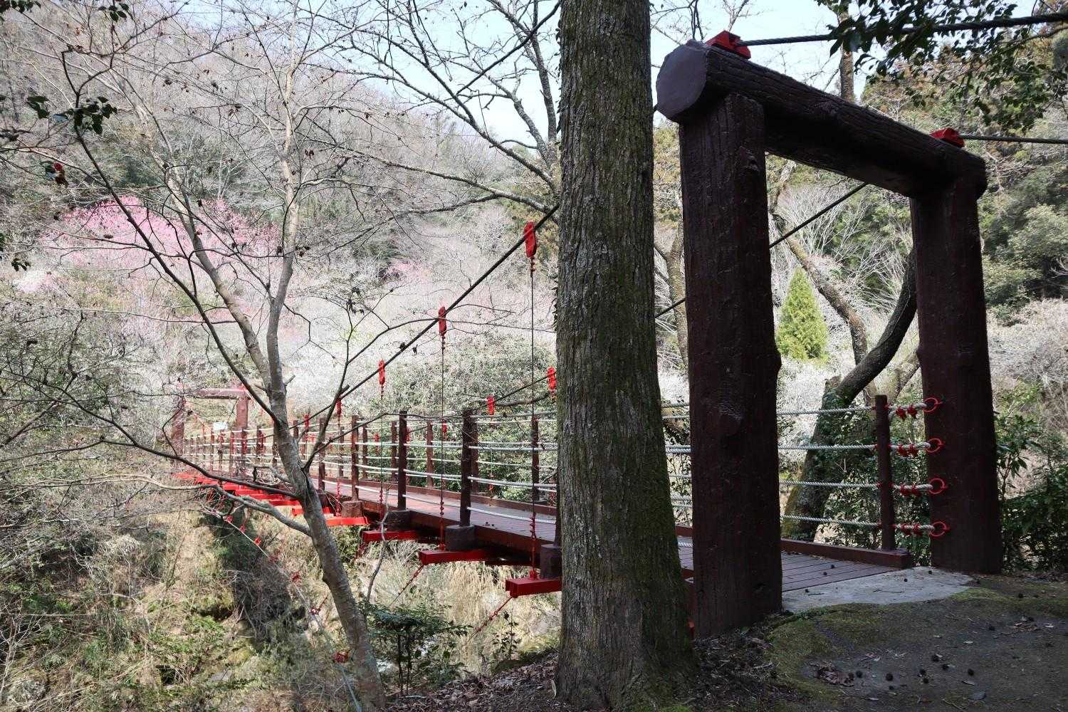 橋の向こうが春色🌸