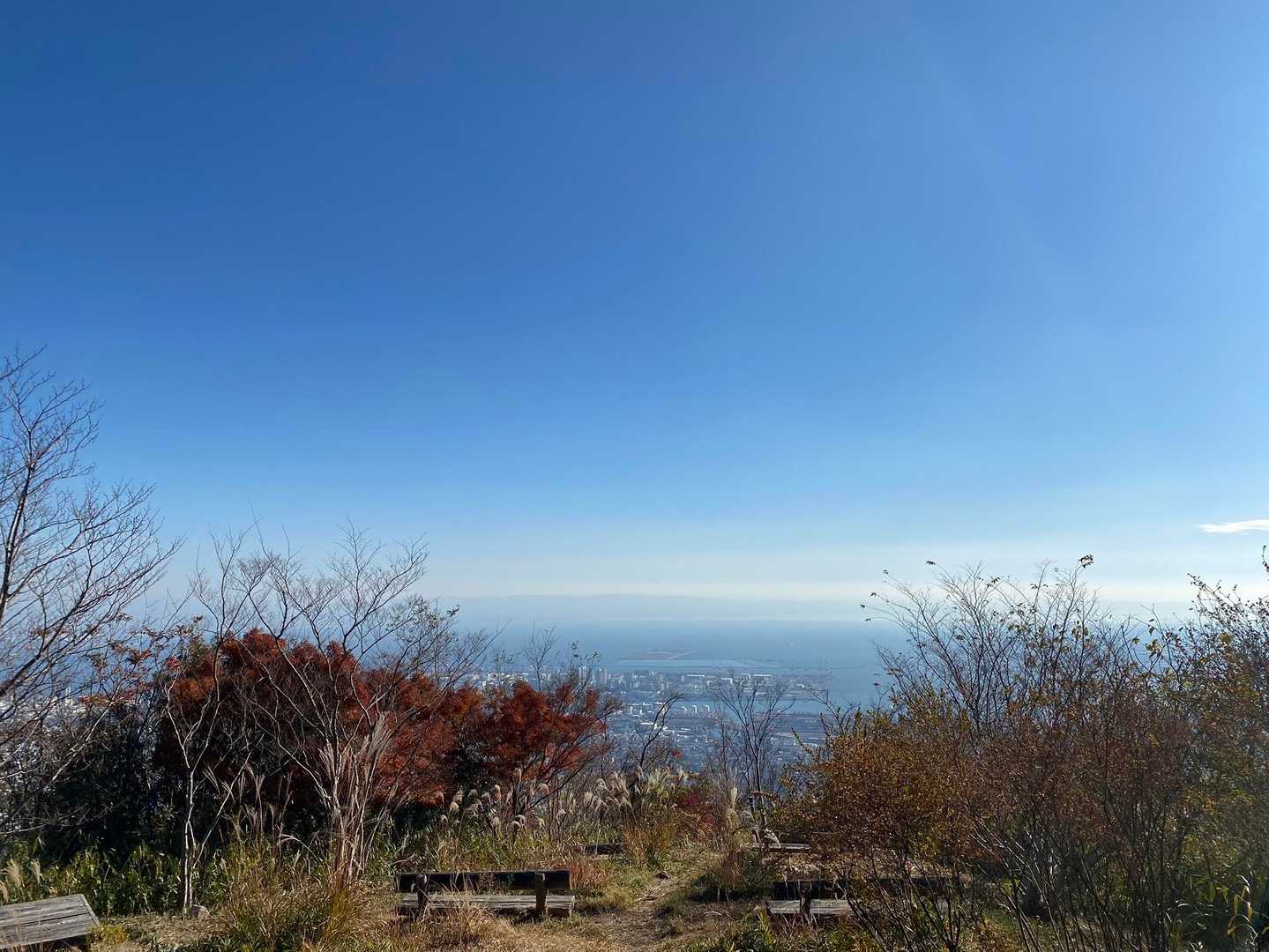 六甲ケーブル下バス停-油コブシ登り口-油コブシ 往復コースの写真
