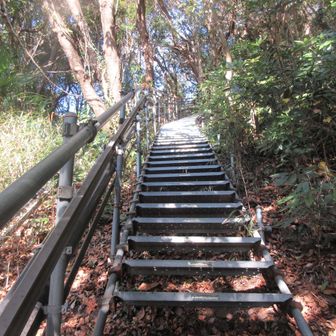 この仮設の階段を登る