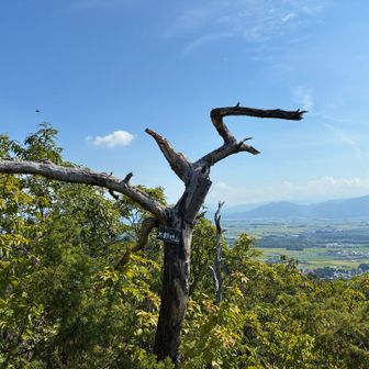 太郎坊山⛰️
早く登っても、ゆっくり登っても山頂の景色は美しい✨
岩に腰掛けておしゃべり