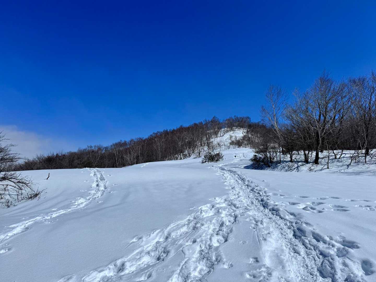 山頂みえました