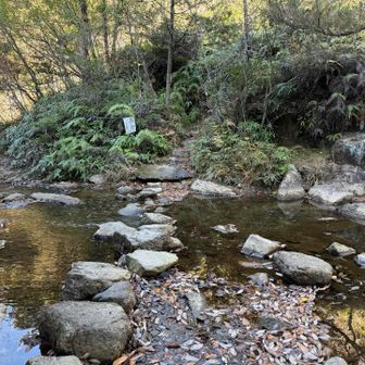 この日 水深10センチ