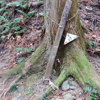 するぎ。ここは峠かな。