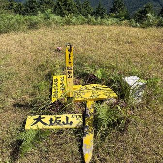 大坂山山頂です。