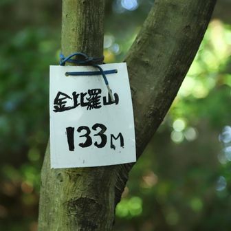 金比羅山
YAMAP1866座目