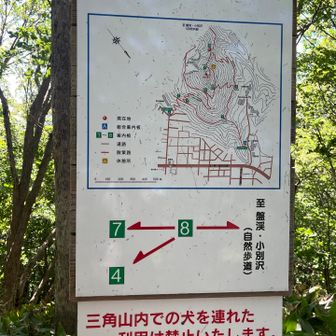 右に向かうと大倉山