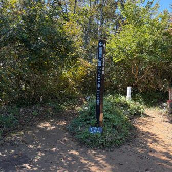 シャクナゲ平まで戻ってきました
まだまだ、どんどん登ってこられます
勝原登山口駐車場に向けて下山開始