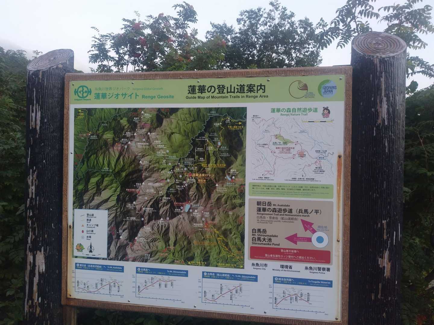 “φ(･ω･。)ﾌﾑﾌﾑ...