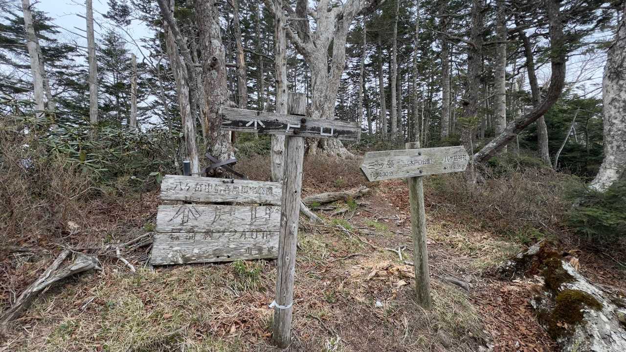 編笠山・権現岳周回 の写真 18