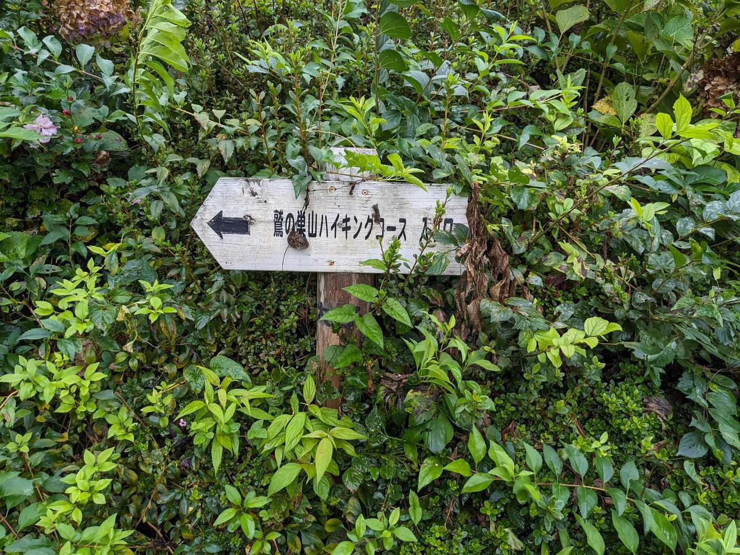 鷲の巣山登山口です。