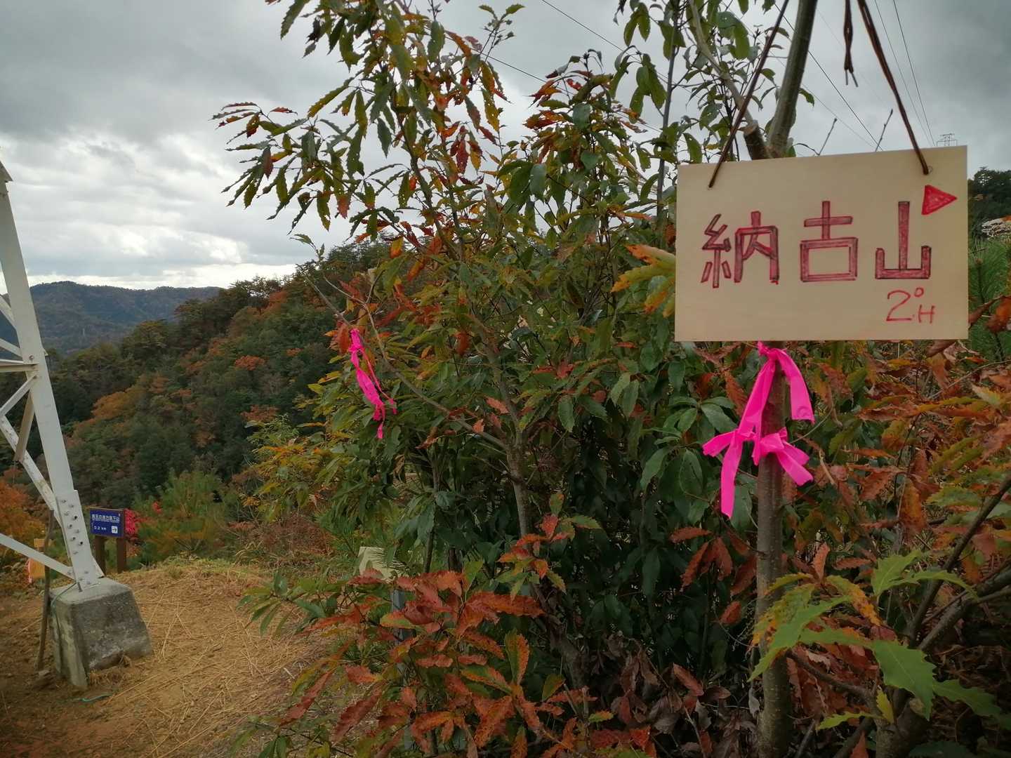 ここから納古山へ行けるんだ？😃
今度の～んびり😃