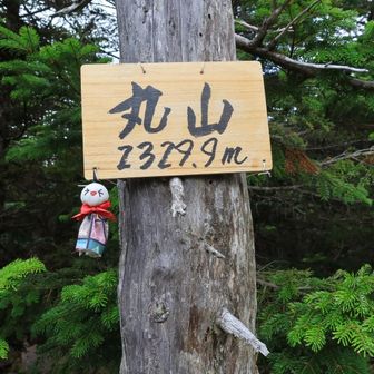 丸山山頂
相変わらず展望無し