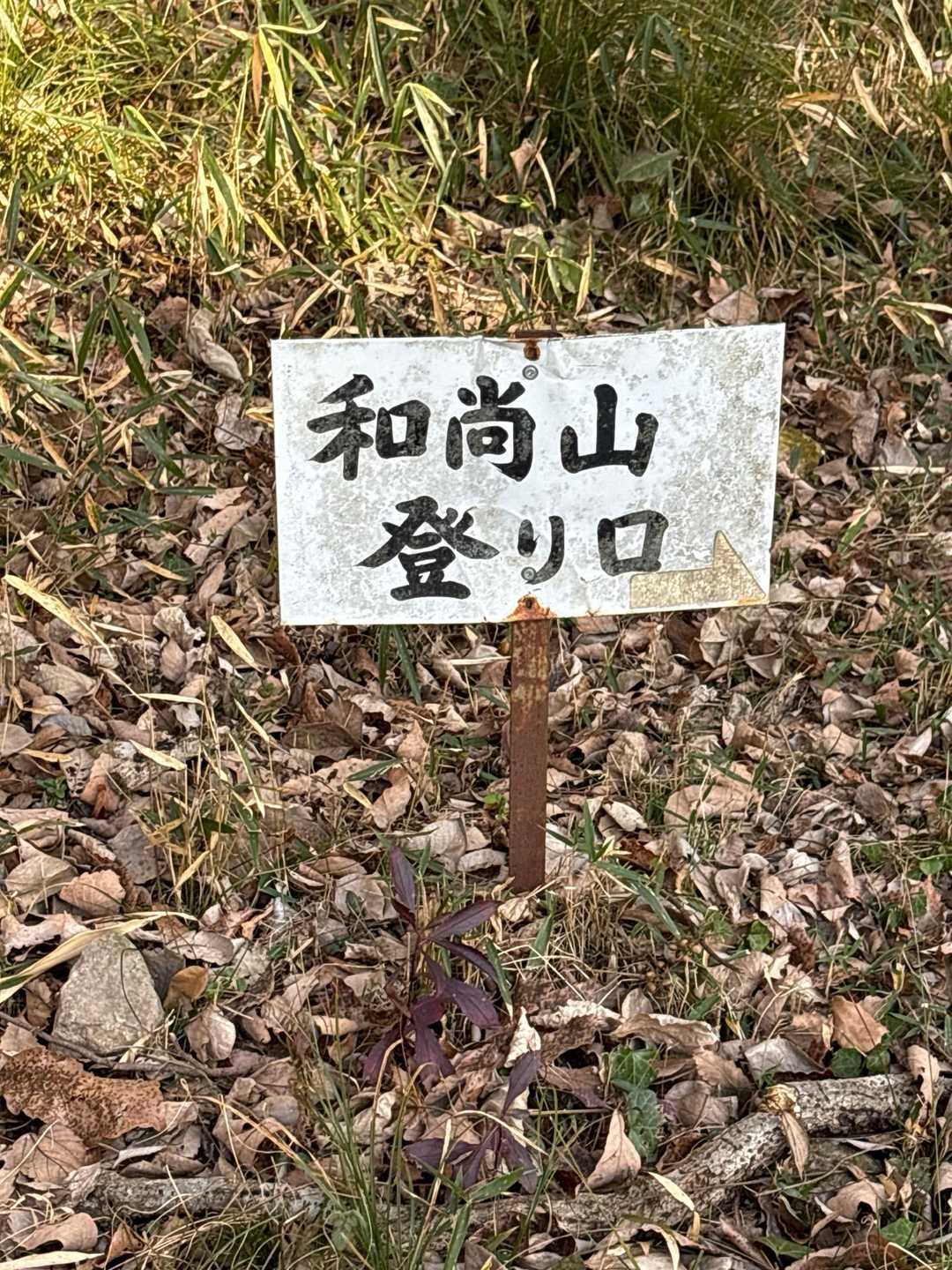 ここから