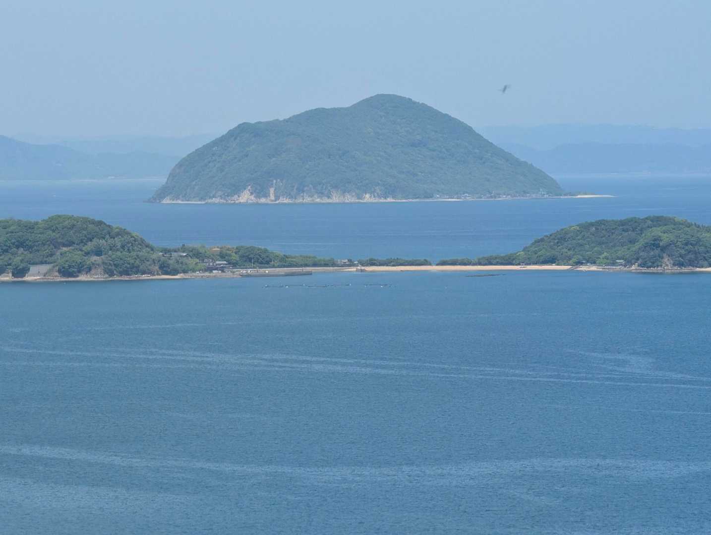 ばくち山登山口-博智山 往復コースの写真