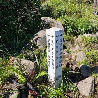 地道に登って分岐に到着
