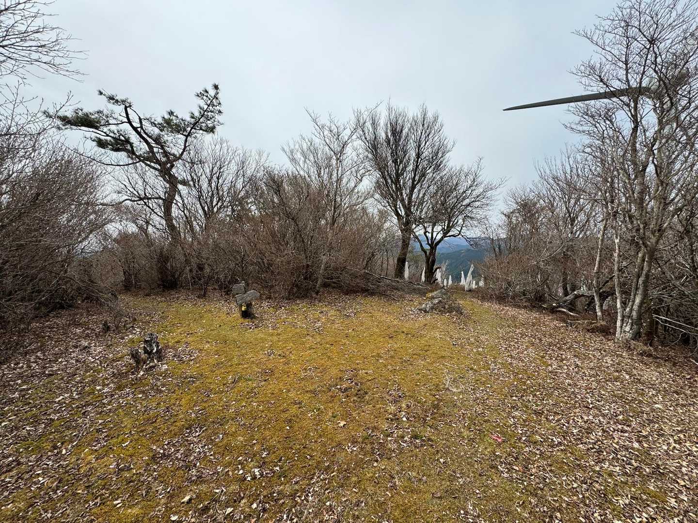 こちらは左へ。
真っ直ぐの植林地はちょっとした眺望あります。