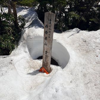山頂。展望はなし