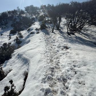 こんなに残雪あるとは！
トレースあるからいいけど
無かったら迷うんだろうな
霧氷あったら絶景だろうなー