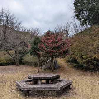 8合目『出会いの広場』！
ここにはトイレもあります。
