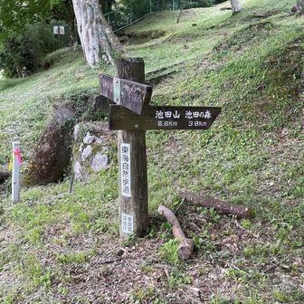 看板はたくさんあって登りやすいです