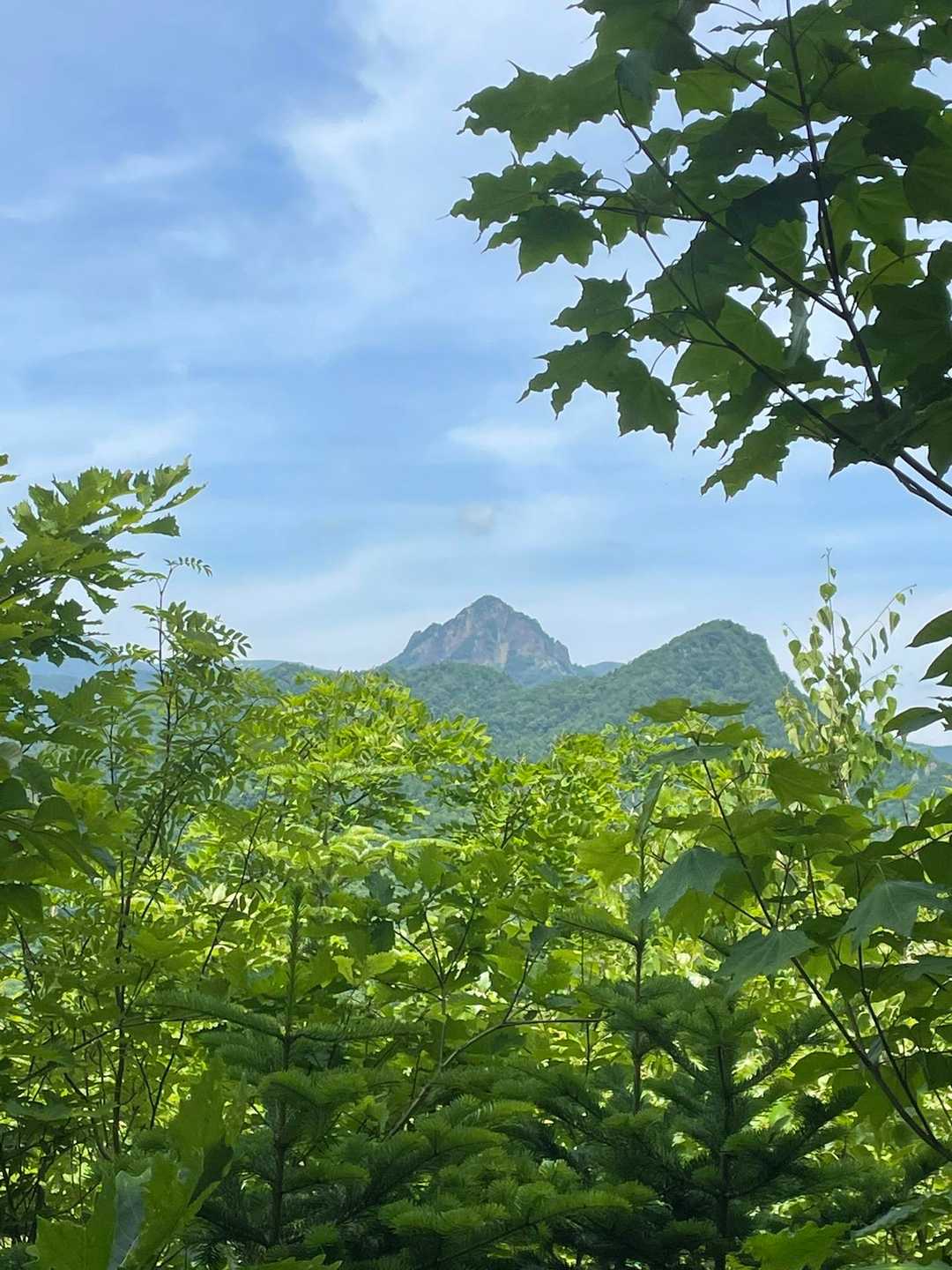 見晴らし台かは
定山渓天狗岳と小天狗岳が見える