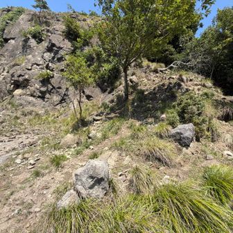 チバンドキャニオンをぐるりと囲む感じで、グレピがあって、ここは白狐山取り付き🙌