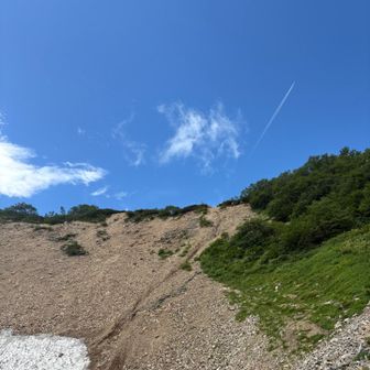 行きと同じ扇雪渓で休憩タイム

今日は沢山の登山者とすれ違う🤗