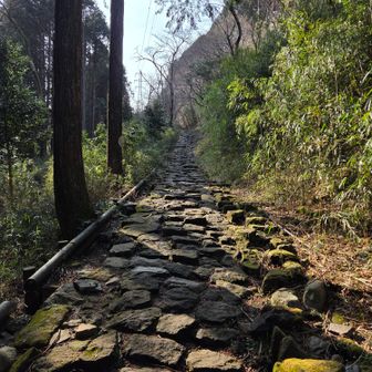 甘酒茶屋から旧東海道の石畳の緩い登りを歩く。腹減ってペースが落ちた