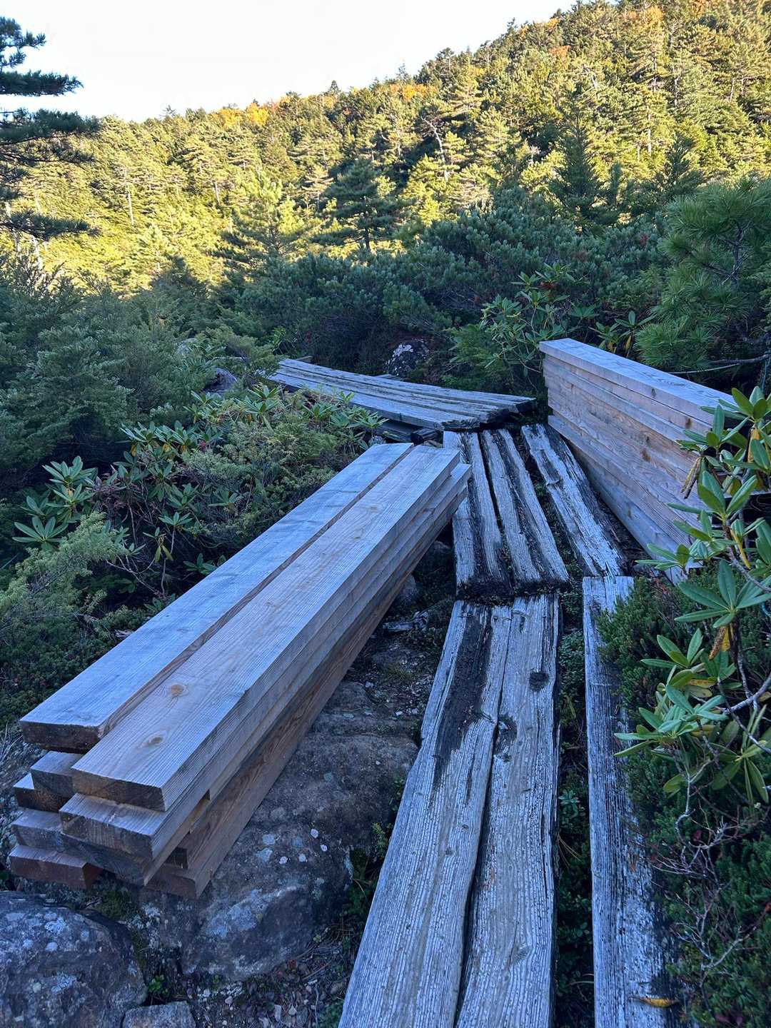 木道の所々に、補修用の木が置いてある
小屋のスタッフさんとボランティアの方々が、こうやってその都度補修してくださっているお陰で、快適に歩くことができます🙏
ありがとうございます😊