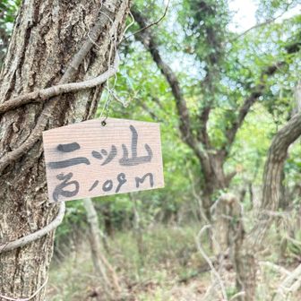 109m
二ツ山⛰️
ゲット👍