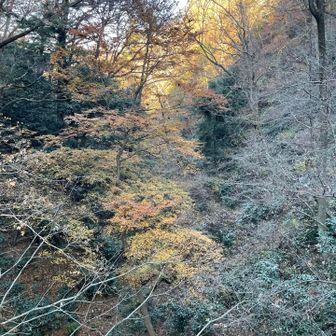 4号路も混んでいた。