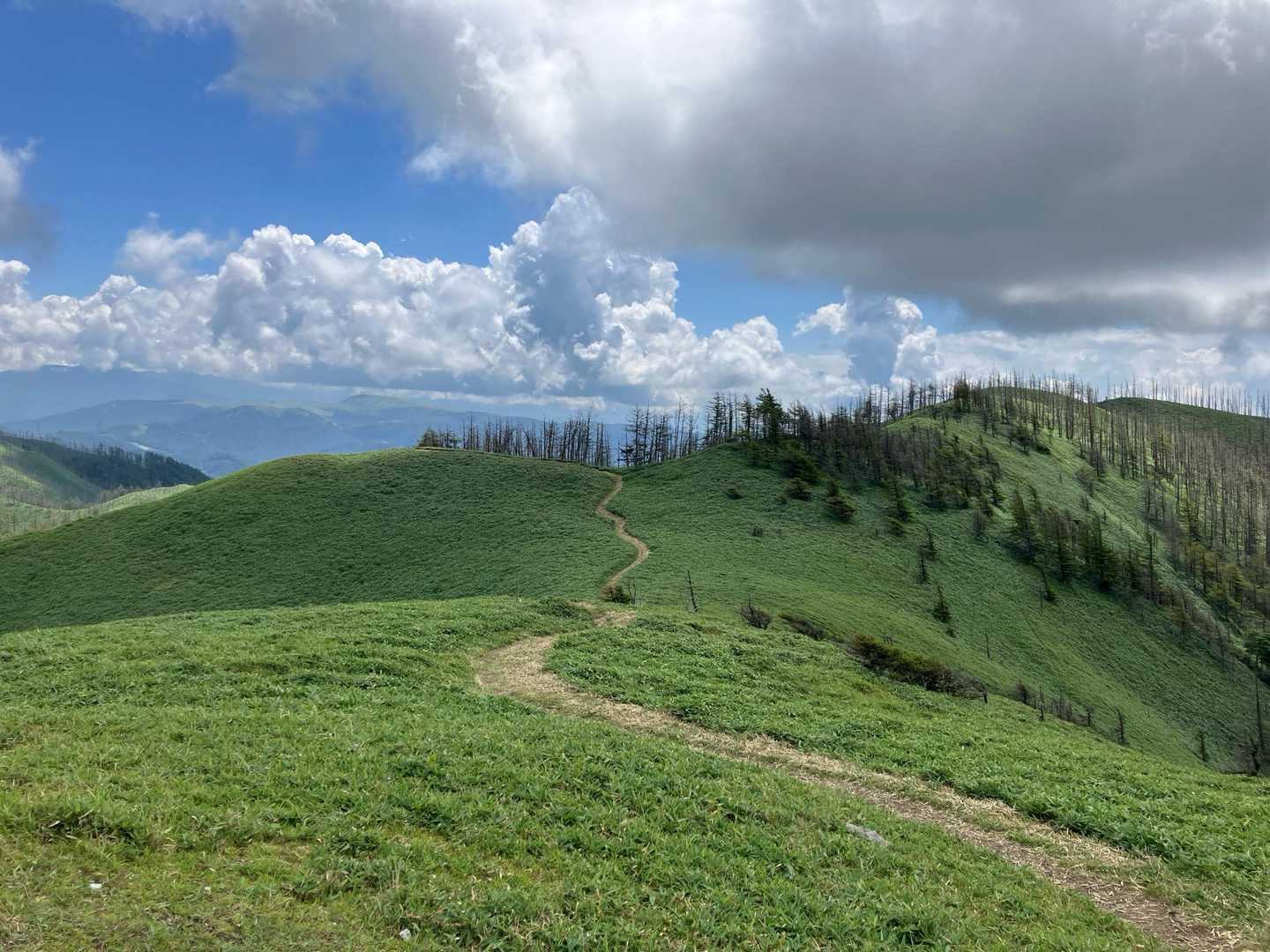 青空が見えて緑の山が美しいです