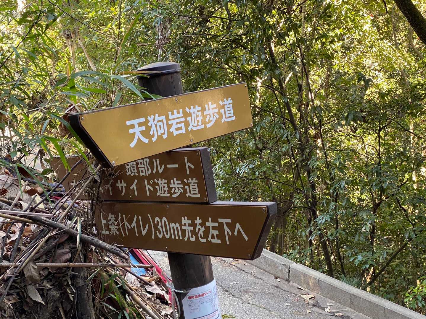 遊歩道のイメージが変わったぞ‼︎