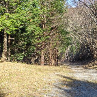 駐車場
左手は二ッ箭山登山口