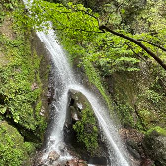 養老山地秘境の名瀑「阿弥陀の滝」 / ぱぱよろの登山データ | YAMAP