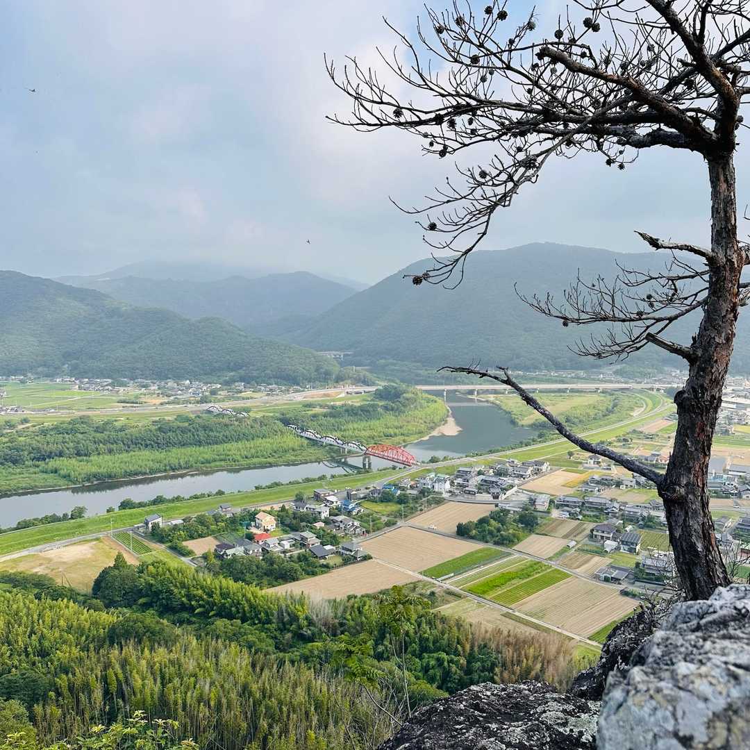 龍ノ口山登山口-龍ノ口八幡宮 往復コースの写真