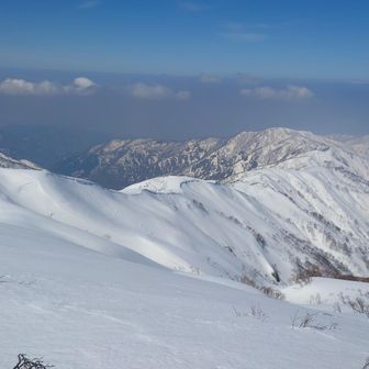 弧を描くように歩いてきました