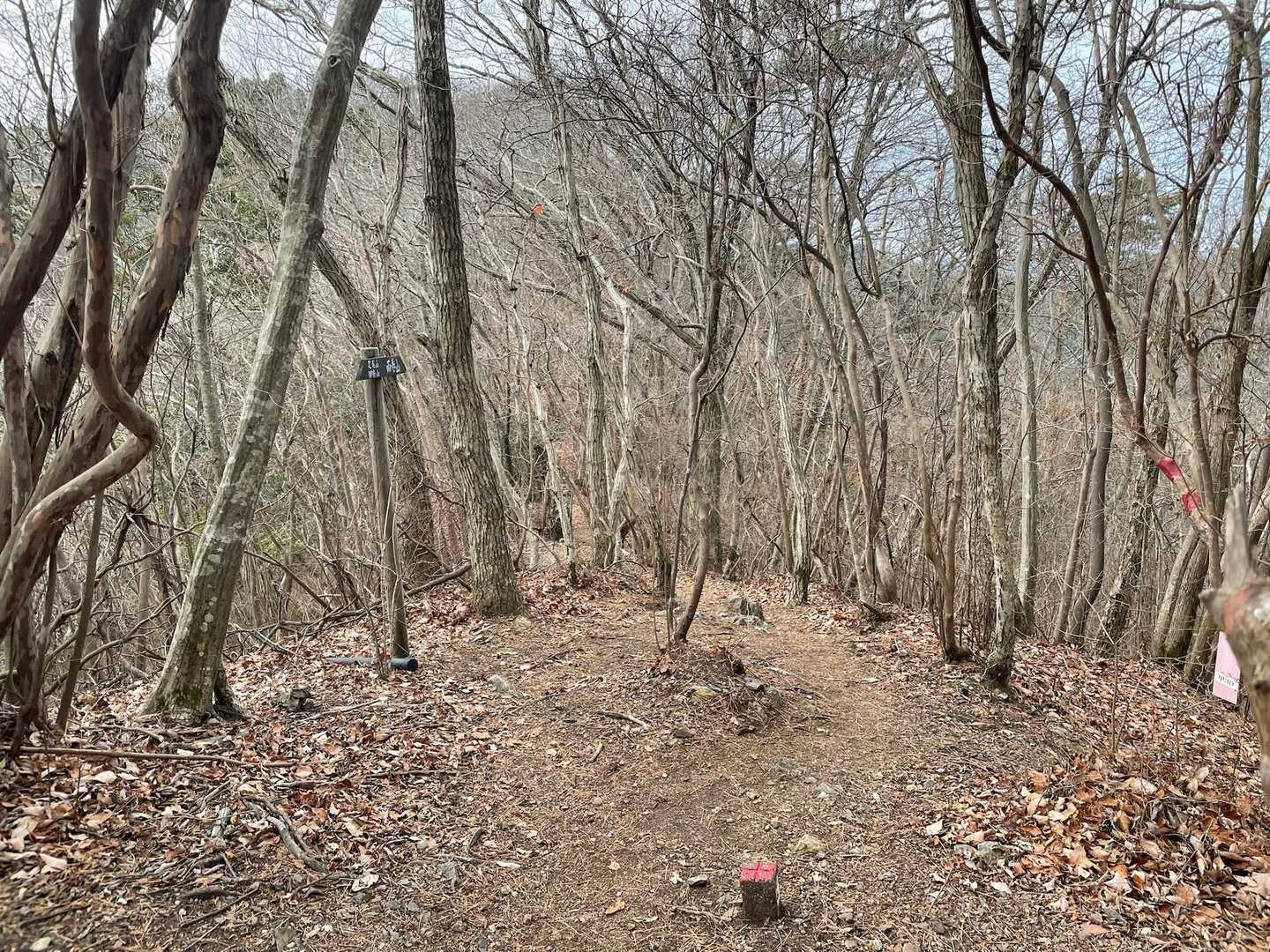 着いたのかっと思ったら違った😞