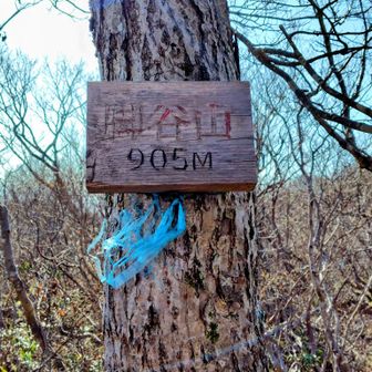 脚谷山 905m
