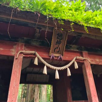 参道のほぼ中間地点の随神門。