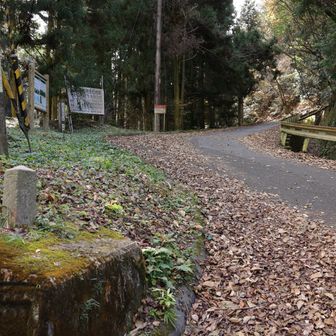堀越峠の反対側の分岐。この道は妙見奥ノ院や妙見山の方に続いてます。