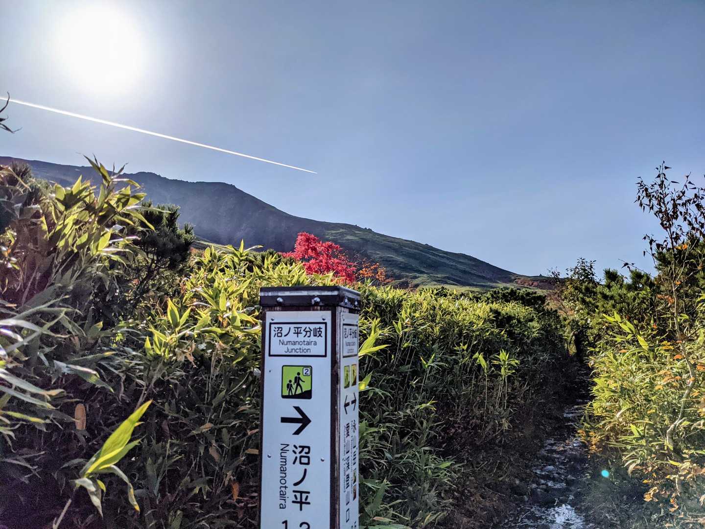 沼ノ平分岐