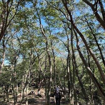 いい天気です☀️

山に来るまでは億劫なんですが、登れば気持ち良くなるのは何故なのでしょう？