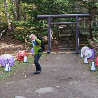 下山しました
定山渓神社は観光名所化しようとしているのか、夜にはライトアップするみたいです
入場料が取られるみたい😲

ところでpeauは何しているの？
hold up？🤣