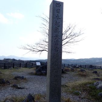 裏、後ろの木🌲と合体👀