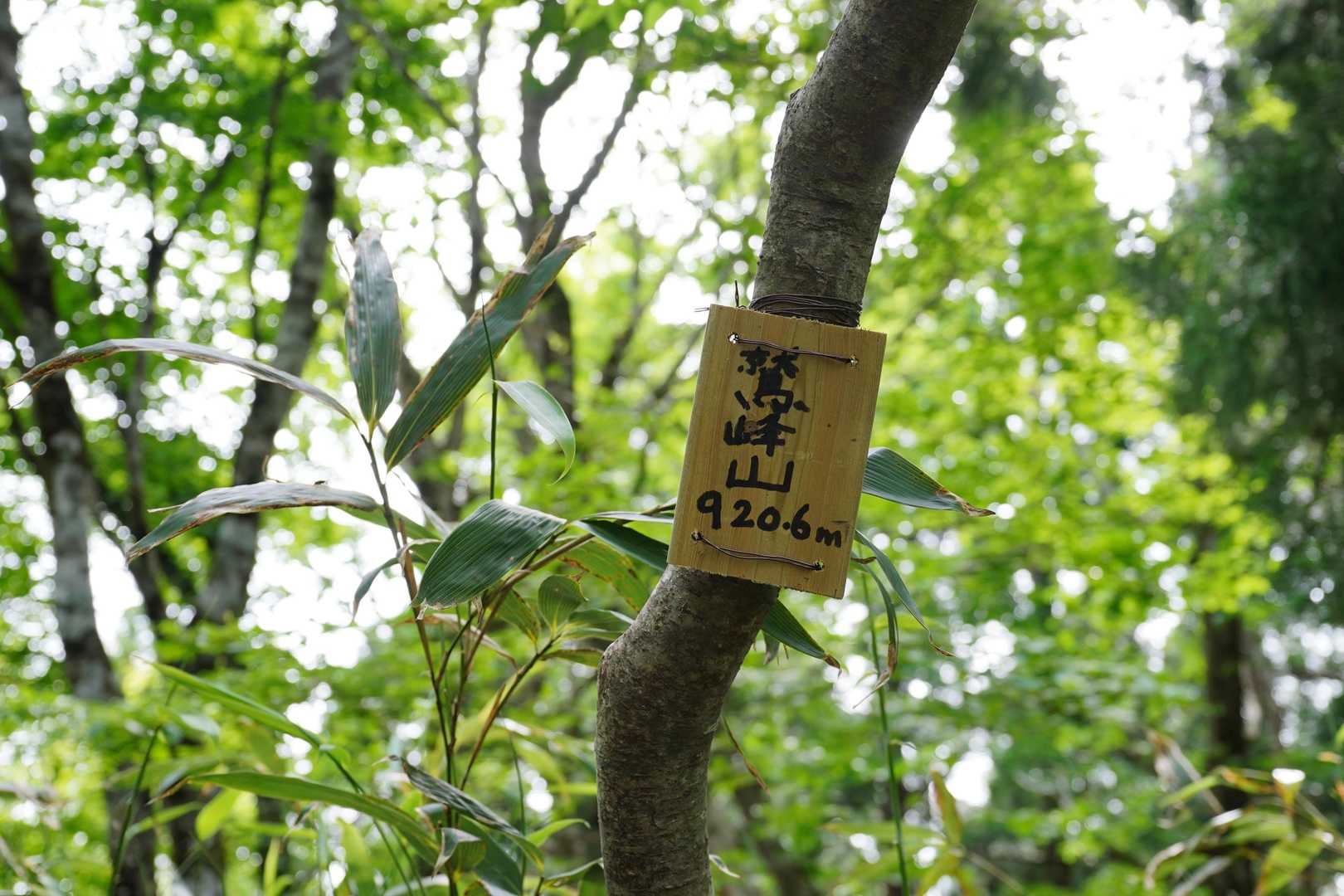 鷲峰山920m
「じゅうぼうざん」って読むのね
日本語って難しい
前日までまさか登ると思っていなかったので全くノーチェクのお山でした