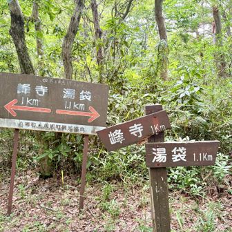 弁天山山頂に到着！
関東の清水寺と言われる峰寺山西光院は眺めが良いらしい👀
まだ行ったことがないので、そちらも行かないと🤭