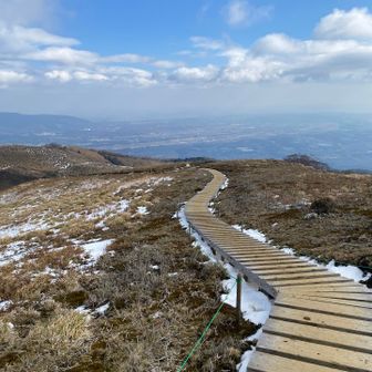意外でしたが、一部キレイな
木道が整備されてました。
中途半端に斜度あり、泥路だったら
結構苦戦していたかと…。
ありがたいことです🙇