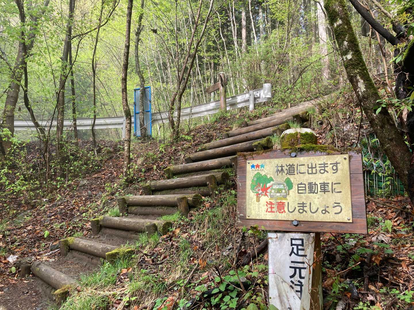 一旦、林道に出ます。ここを横切ります。